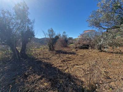 Terrain constructible - 868 m²