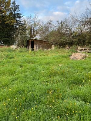 Terrain constructible - 8 600 m²