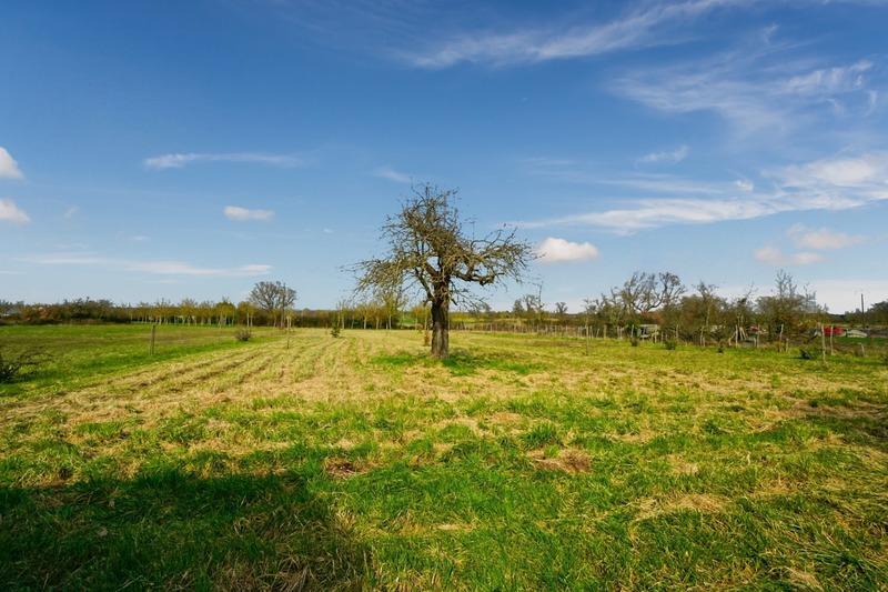 Maison - 148 m² - 5 pièces