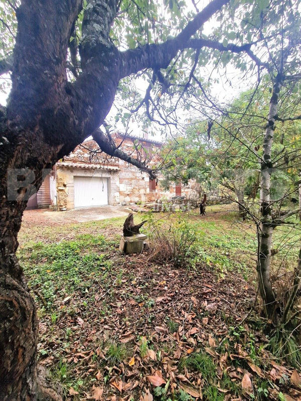 Maison - 230 m² - 7 pièces