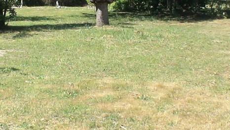 Terrain constructible - 352 m²