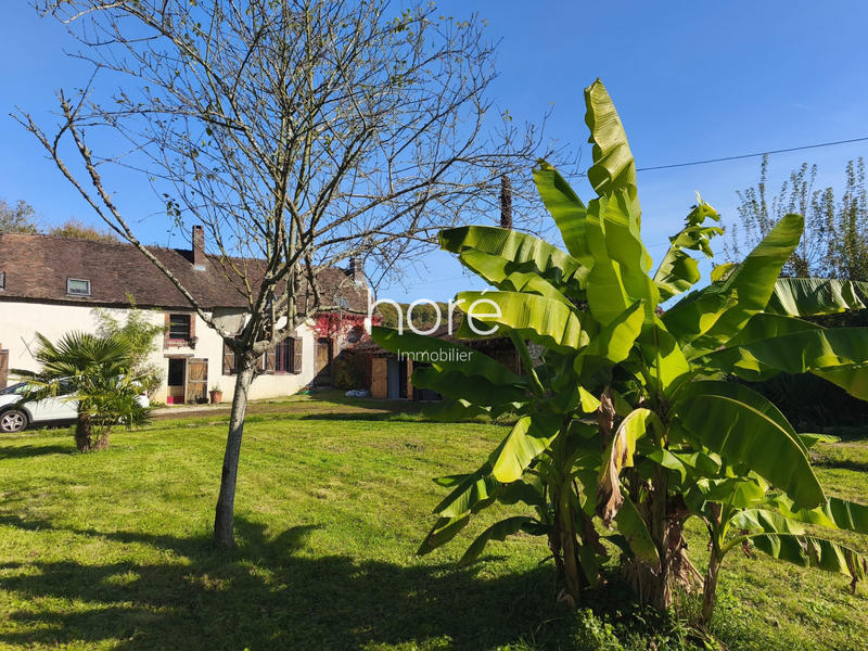 Maison ancienne - 220 m² - 7 pièces