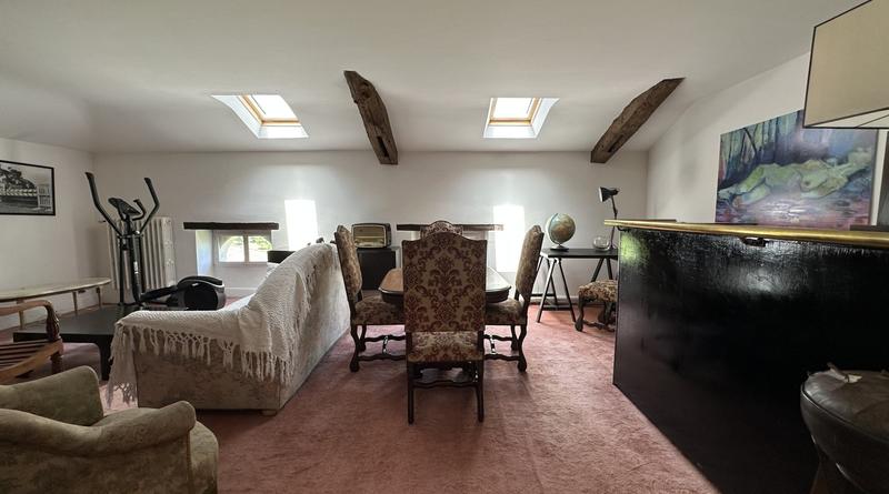 Maison de maîtres - 390 m² - 13 pièces