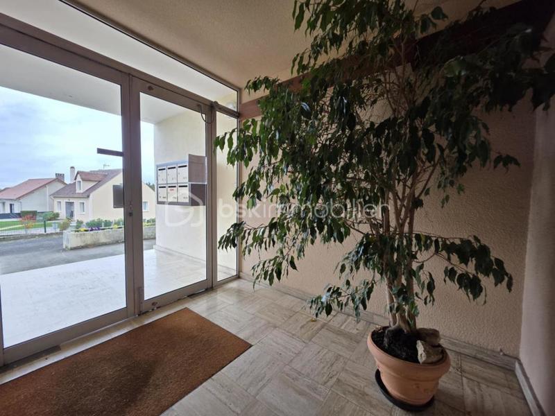 Appartement - 55 m² - 2 pièces