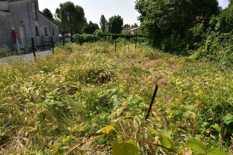 Maison traditionnelle - 140 m² - 6 pièces