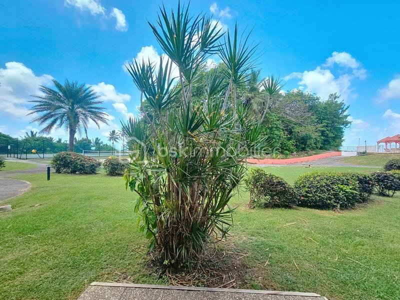 Appartement - 29 m² - 1 pièce