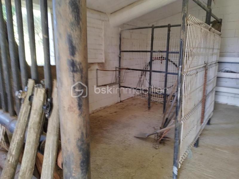 Propriété - 402 m² - 28 pièces