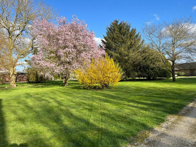 Maison - 230 m² - 7 pièces