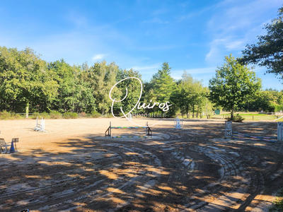 Maison - 300 m² - 10 pièces