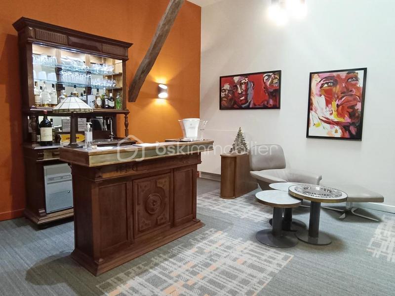 Hôtel particulier - 650 m² - 17 pièces