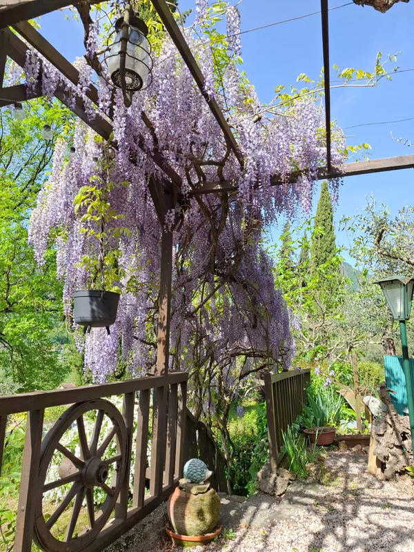 Maison - 43 m² - 3 pièces