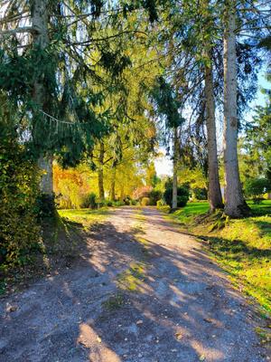 Maison - 186 m² - 6 pièces