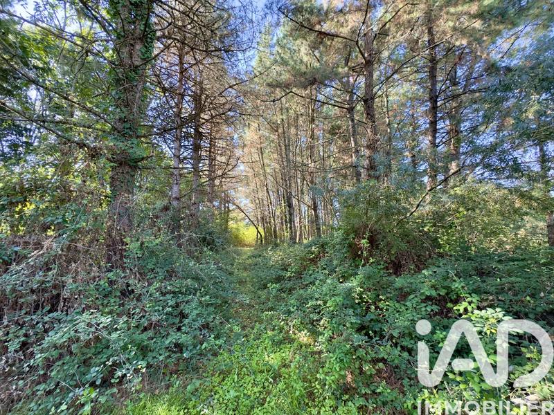 Maison de campagne - 145 m² - 5 pièces