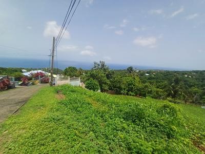 Terrain constructible - 1 056 m²