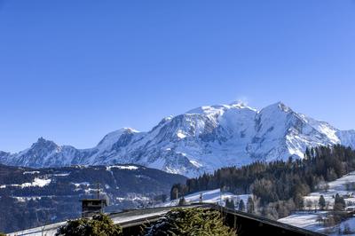 Châlet - 439 m² - 9 pièces