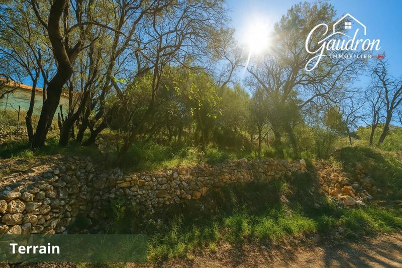 Maison - 40 m² - 1 pièce