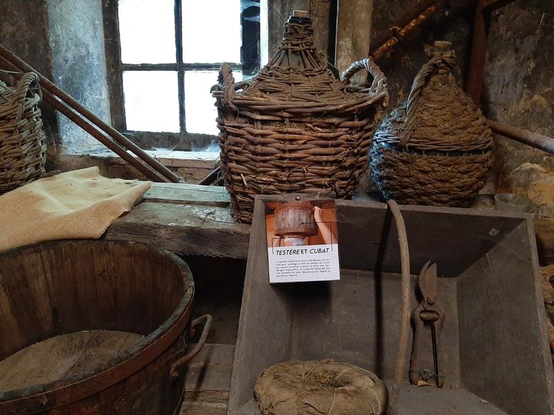 Découverte de la vigne et de ses outils d'antan