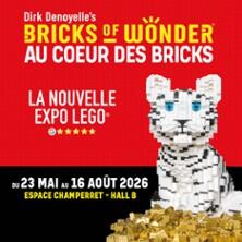 Bricks Of Wonder - Billet Vip Open - au Coeur des Bricks