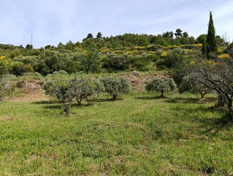 Terrain - 1 840 m²
