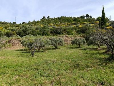 Terrain - 1 840 m²
