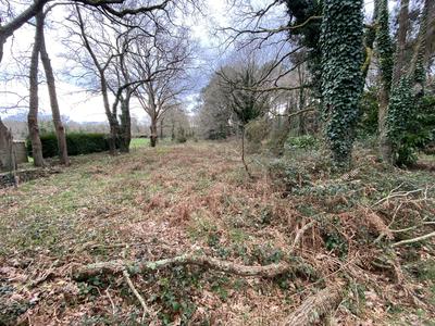 Terrain agricole - 2 002 m²