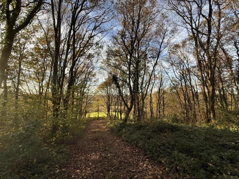 Terrain - 15 500 m²