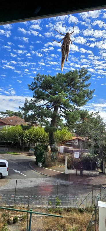 Appartement - 26 m² - 1 pièce