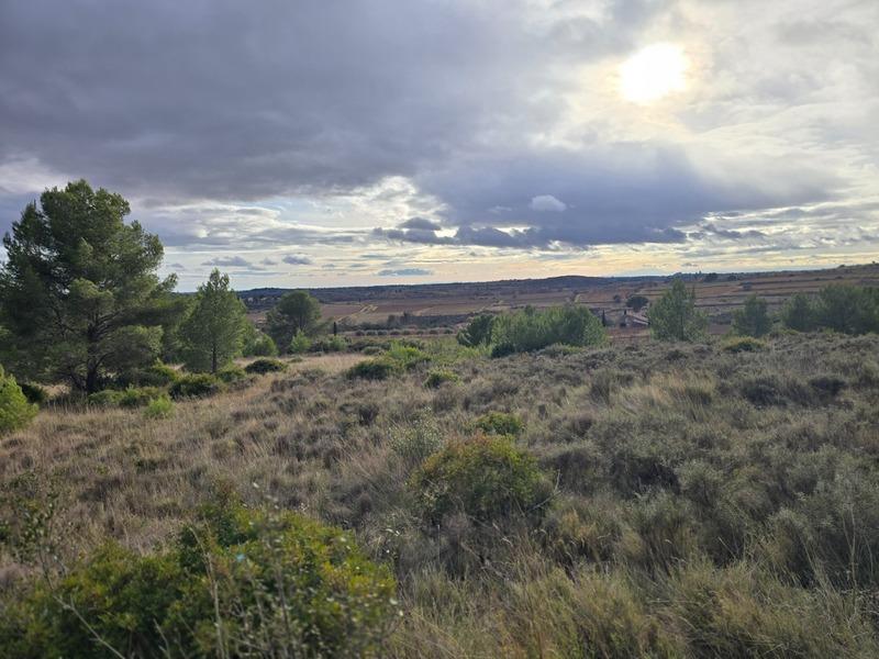 Terrain agricole - 8 540 m²