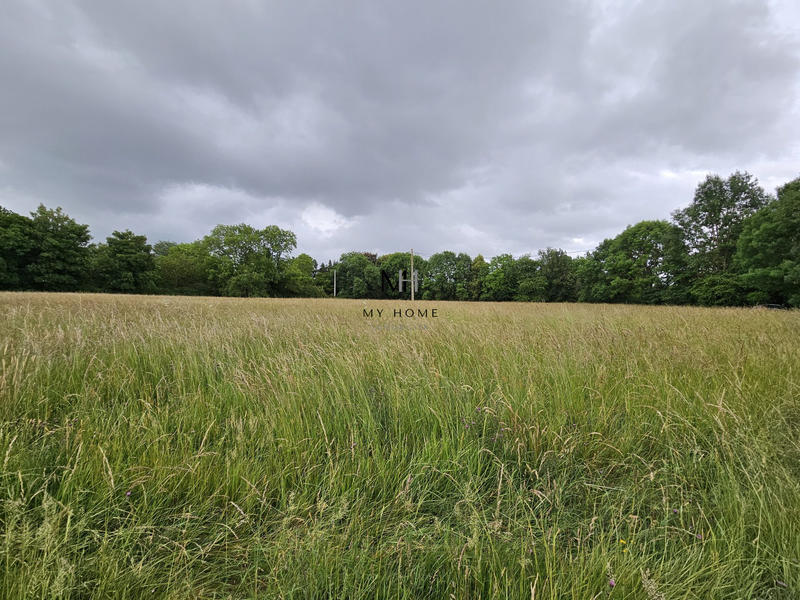 Terrain agricole - 10 804 m²