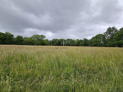 Terrain agricole - 10 804 m²