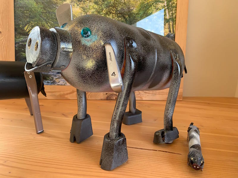 Exposition – Dans les pas de Rosalie