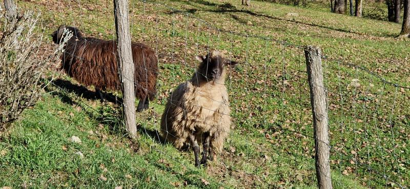 Maison - 154 m² - 8 pièces