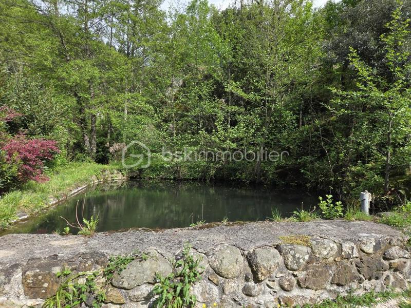 Maison en pierre - 105 m² - 5 pièces