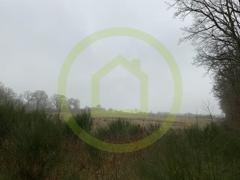 Terrain - 199 600 m²