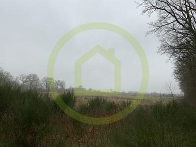 Terrain - 199 600 m²