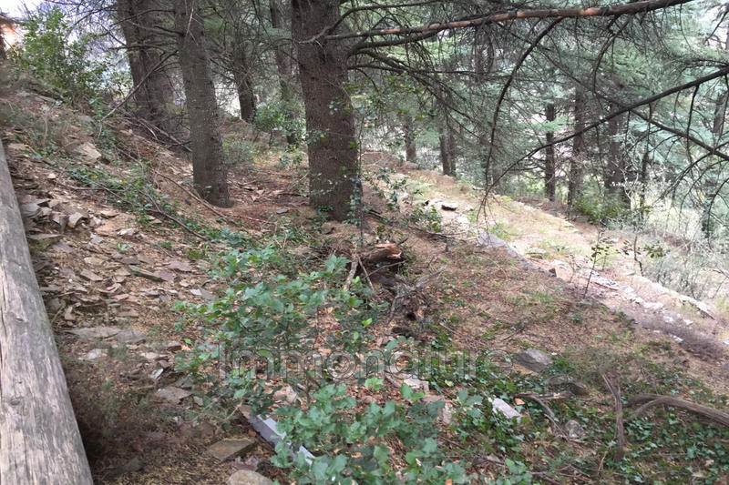 Terrain de loisirs - 1 250 m²