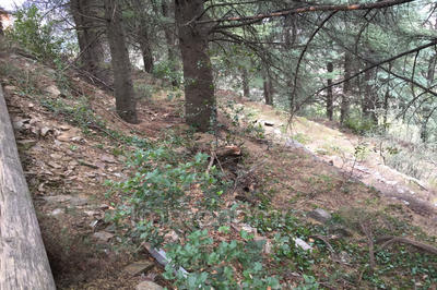 Terrain de loisirs - 1 250 m²