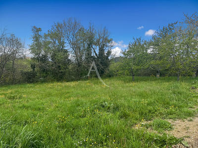 Terrain - 3 550 m²