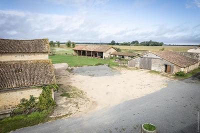 Longère - 300 m² - 10 pièces