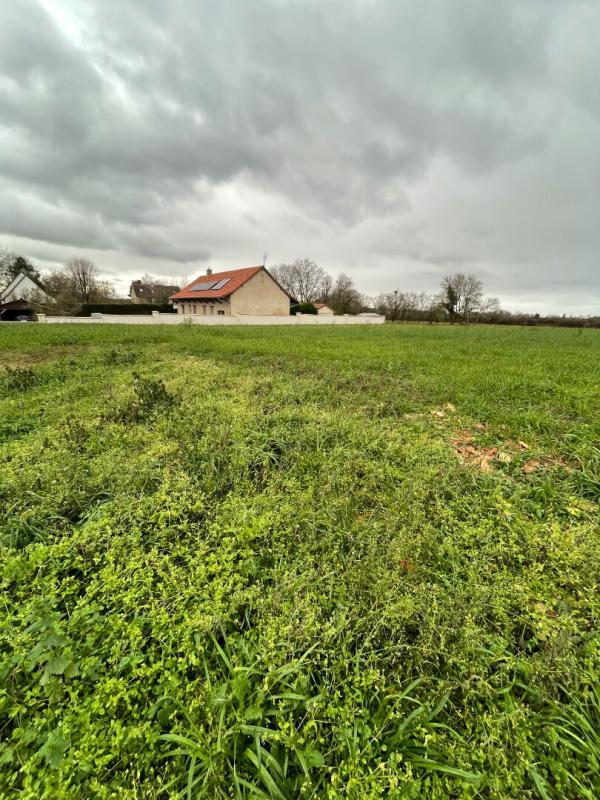 Terrain - 1 035 m²