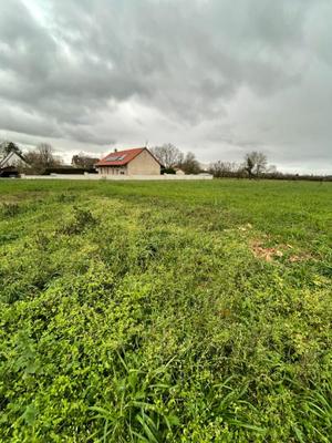 Terrain - 1 035 m²