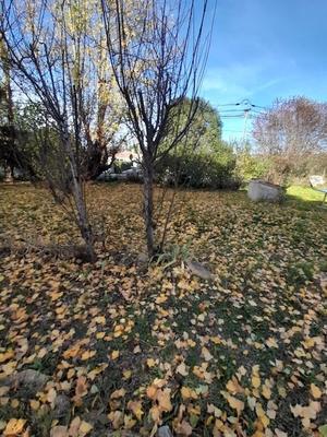 Villa - 75 m² - 4 pièces