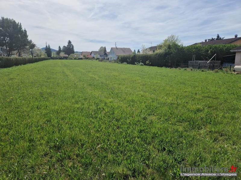 Terrain - 3 010 m²