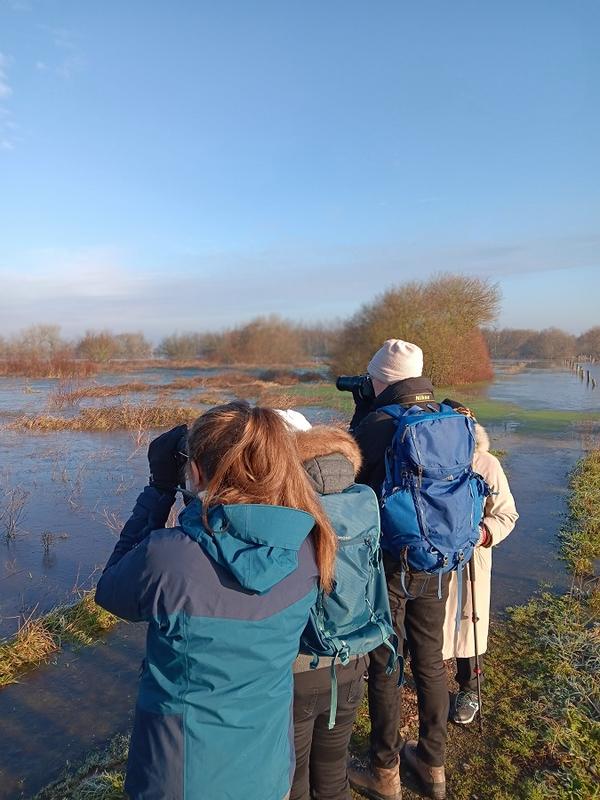 Marais blancs et oiseaux hivernants