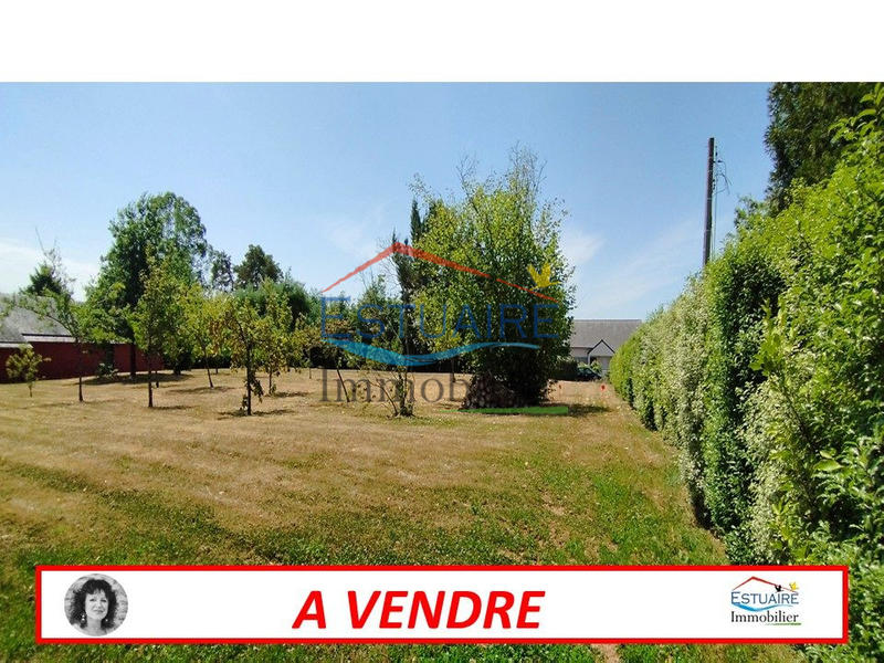 Terrain - 561 m²