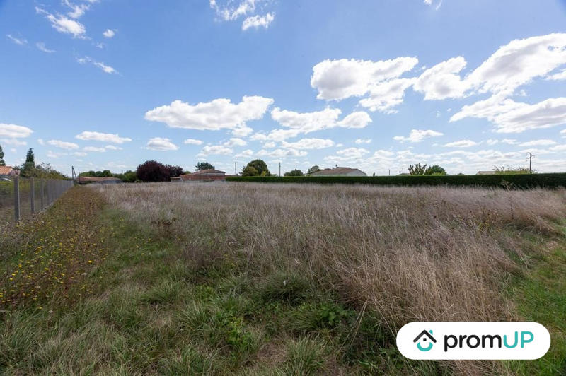 Terrain agricole - 3 000 m²