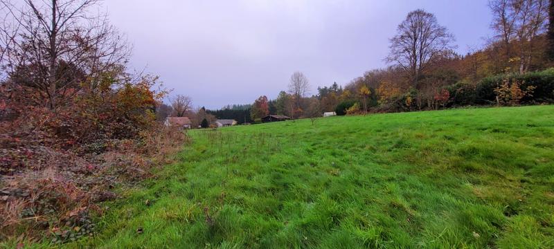 Terrain - 4 919 m²