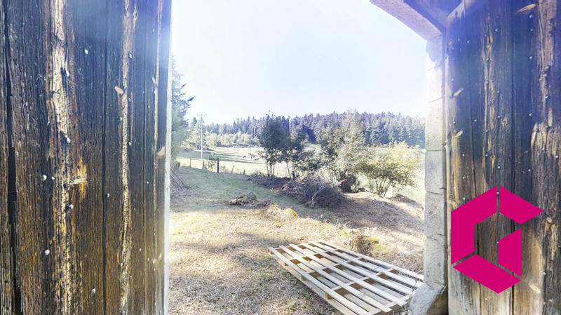 Maison ancienne - 210 m² - 6 pièces