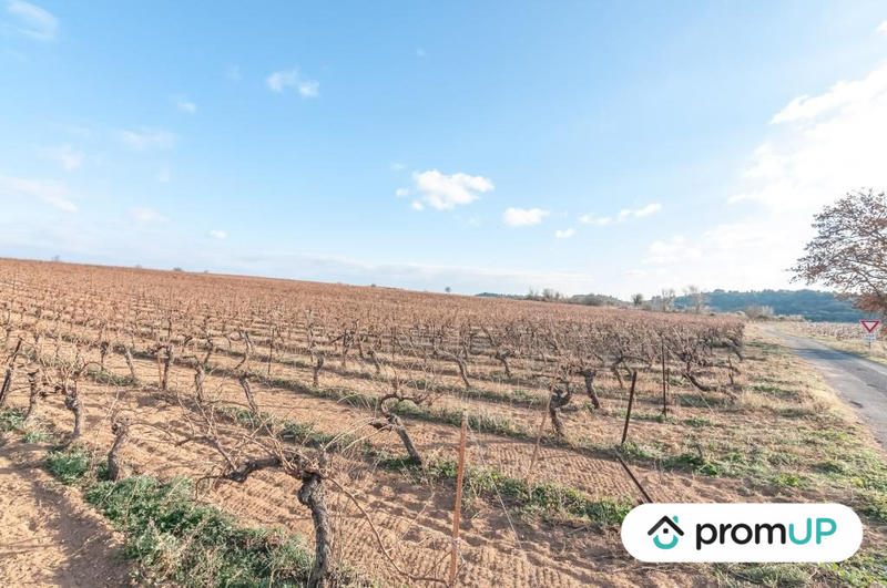 Terrain agricole - 57 000 m²