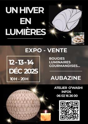 Un Hiver en Lumières